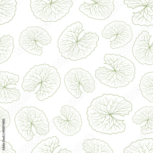 Cica leaf seamless pattern. Centella asiatica templateleaves vector illustration. Gotu kola repeated texture. Asian pennywort background for organic cosmetics, natural products, food, eco design.