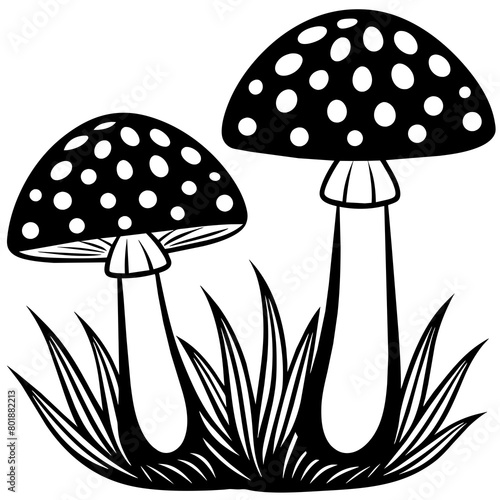 Two poisonous fly agaric mushrooms in the grass  Outline