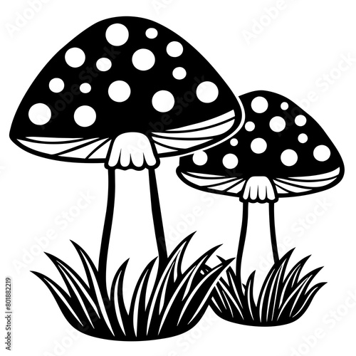 Two poisonous fly agaric mushrooms in the grass  Outline