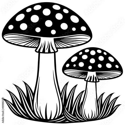 Two poisonous fly agaric mushrooms in the grass  Outline