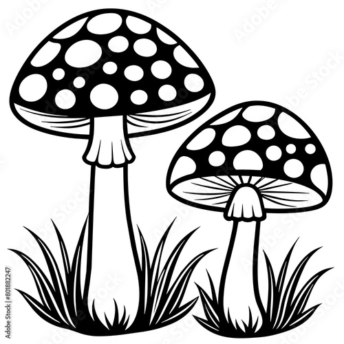 Two poisonous fly agaric mushrooms in the grass  Outline