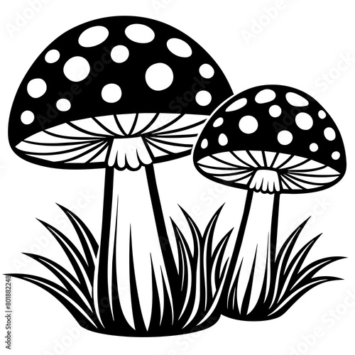 Two poisonous fly agaric mushrooms in the grass Outline