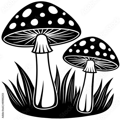 Two poisonous fly agaric mushrooms in the grass  Outline