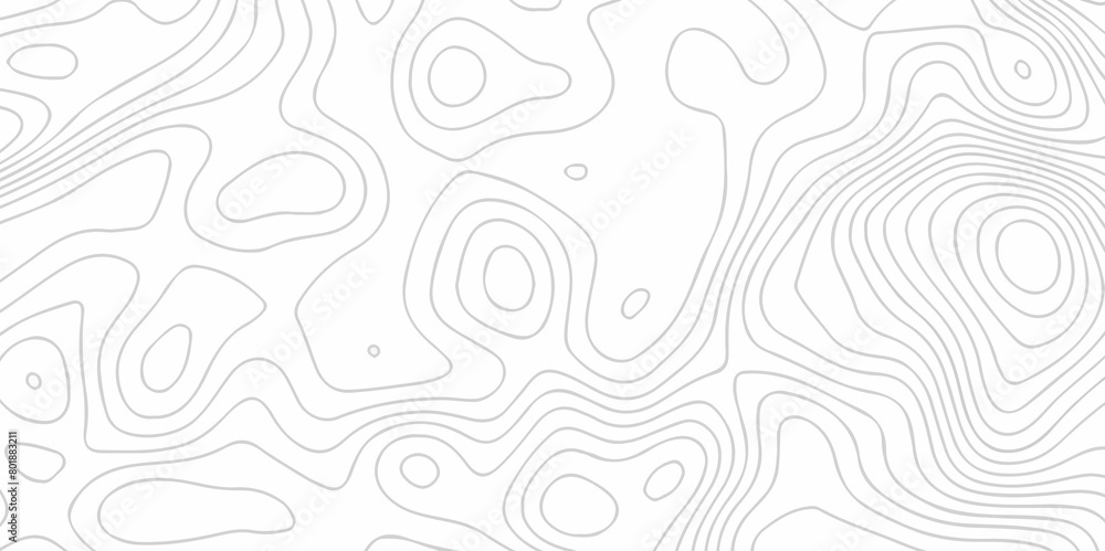 seamless pattern and topography map and counter map. abstract sea map area space geometric line technology topo landscape grid map texture.	
