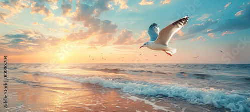 A seagull flies gracefully over the sea, its wings outstretched, sunset background
