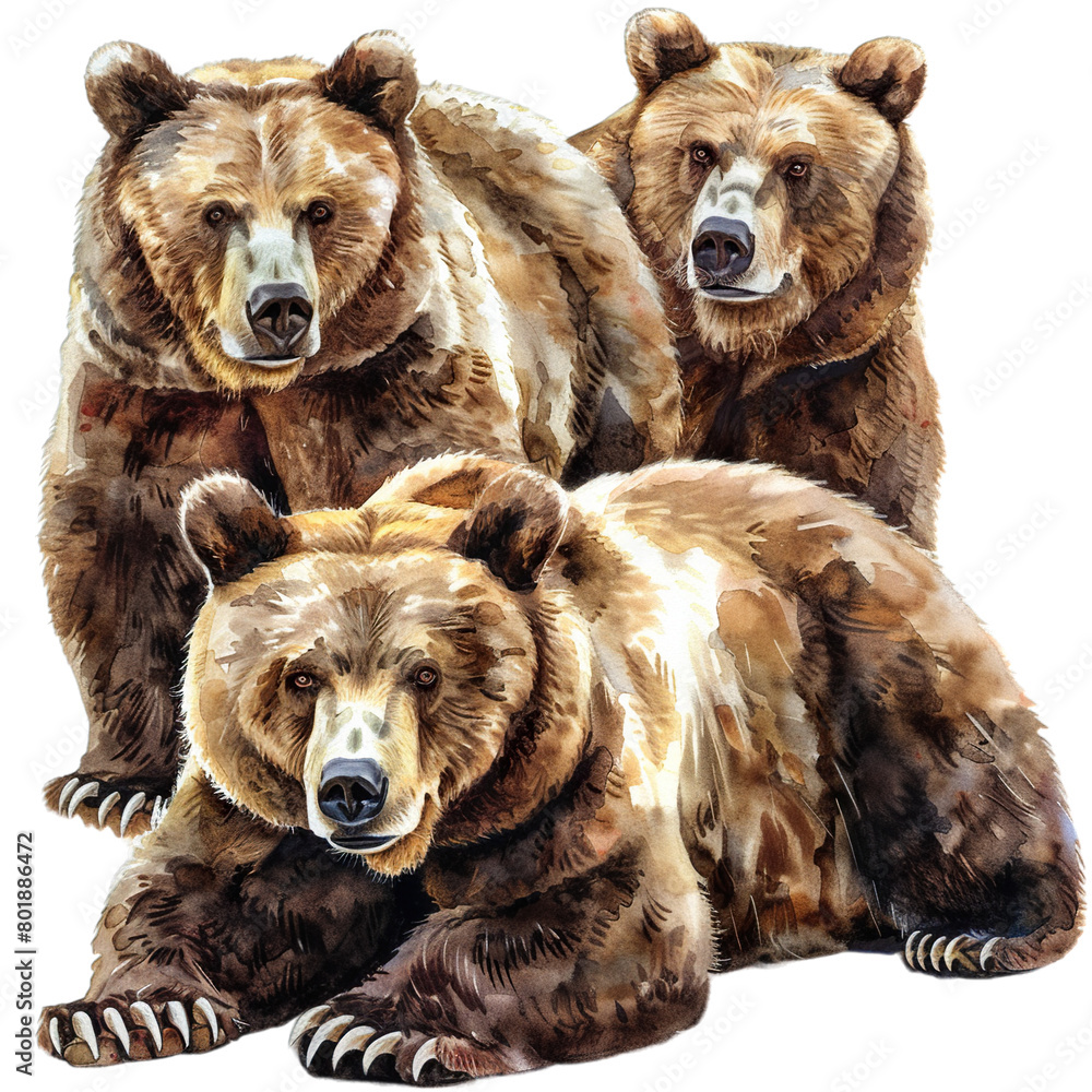 Fototapeta premium three brown bear
