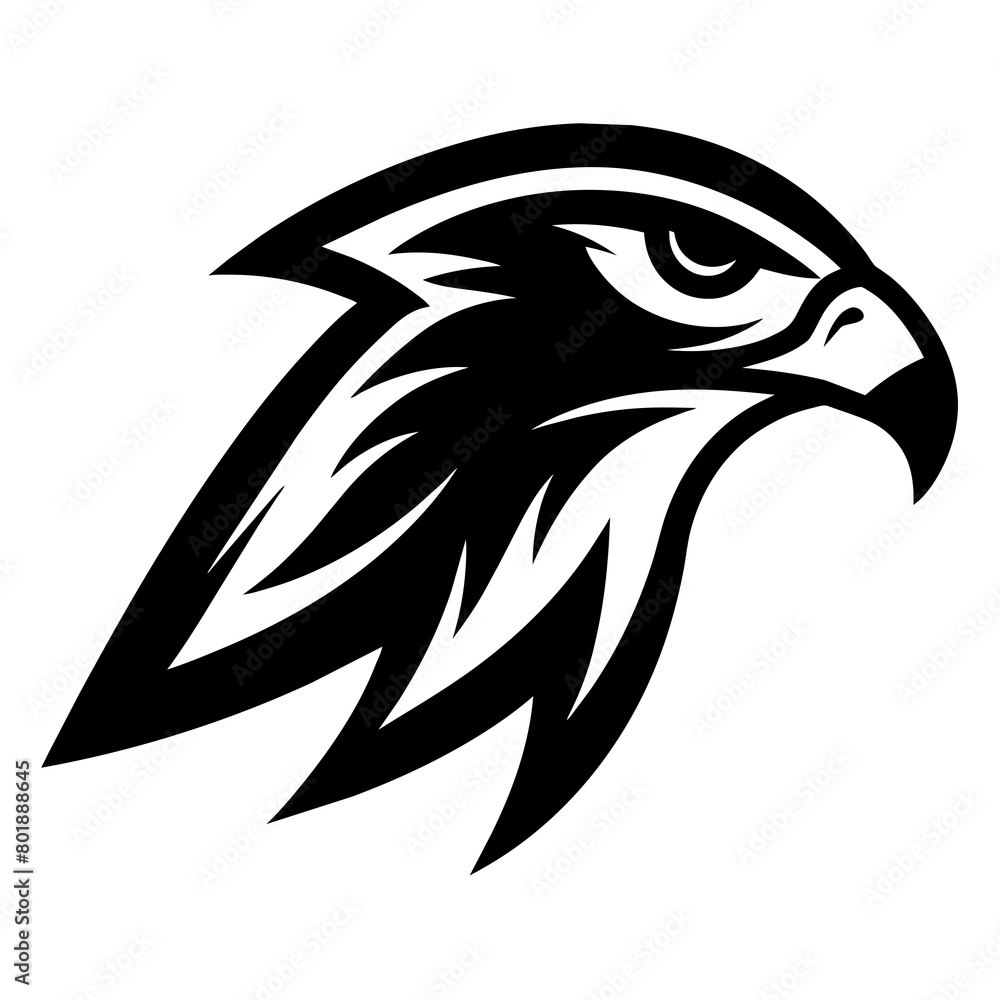 Obraz premium Hawk head illustration art