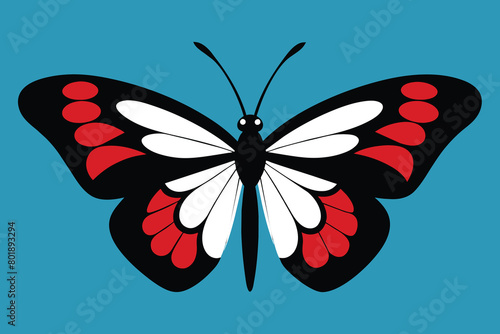 Solid color Admiral Butterfly vector design photo