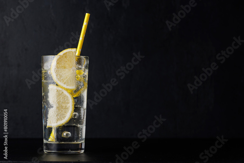 Gin tonic cocktail © karandaev