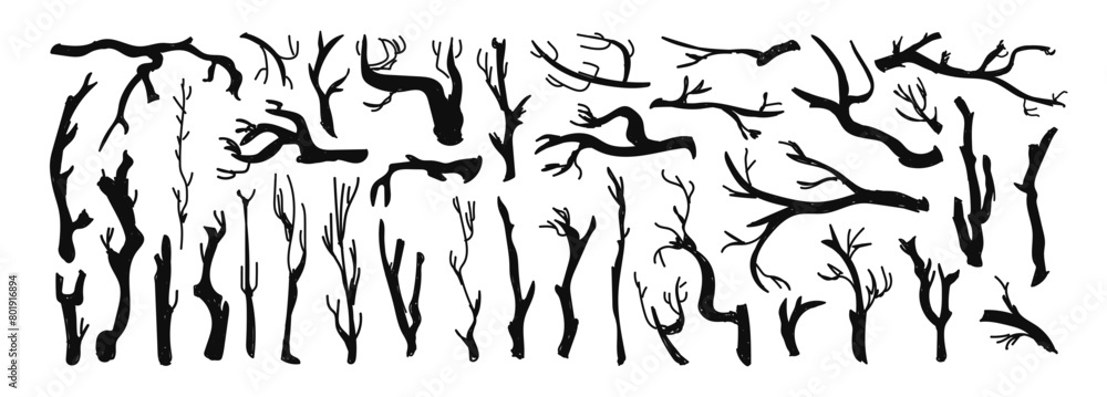 Set of Tree Isolated Branches Silhouettes Set of Tree Isolated Branches Silhouettes
