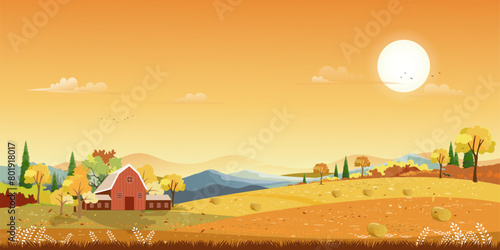Autumn landscape with forest tree background,Cartoon Scene Fall Season Mountain,Meadow,Orange Foliage,Cloud,Yellow Sunset Sky,Vector nature morning sunrise grass field,maple tree,farm land in country