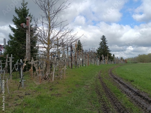 Hill of crosses. Crosses and rosemary on hill. Small hill. Loads of crosses. Few trees. Sunny day. Summer season. Monument. Siauliai. Kryziu kalnas Siauliuose.