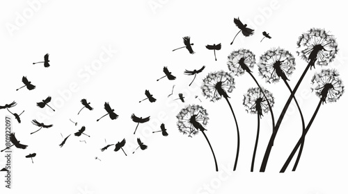 Silhouette flying blow dandelion buds Vector illustration