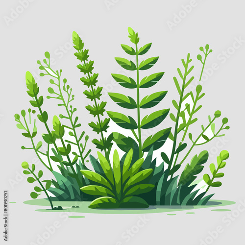 2D weeds for Game Asset