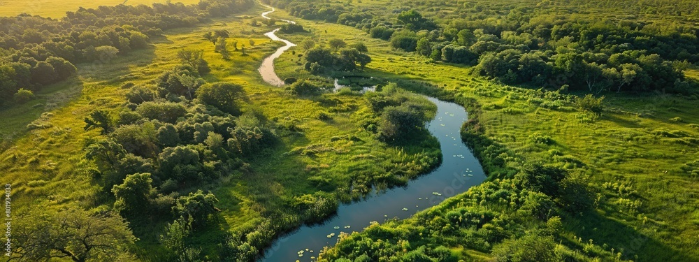 highlighting successful wildlife conservation and biodiversity maintenance, Aerial view of a protected natural area.