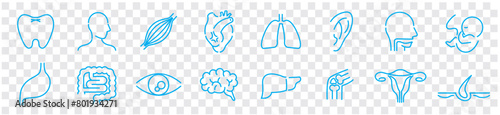 Human Body Line Editable stroke Icons set. Human internal organ. Medical Specialties. Icon collection vector. 