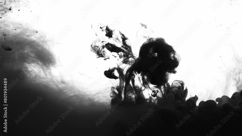 Beautiful black watercolor ink drops transition on white background Beautiful black watercolor ink drops transition on white background
