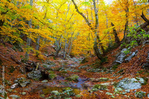 small river in autumn mountain canyon