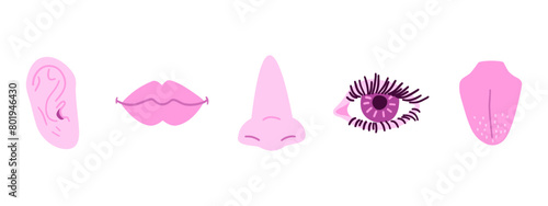 Set of human organs with eye, nose, ear, tongue and mouth. Vector illustration in flat style.