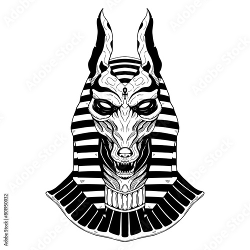 anubis hand draw illustration, best for t shirt design