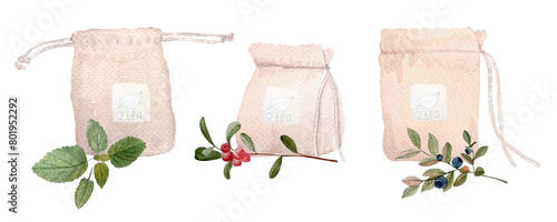 Lemon balm leafs, cowberry, blueberry tea watercolor set isolated on white. High quality hand drawn art. wild herb great for cards, packages, tea, infusions, herbal medicine recipes, stickers, tape