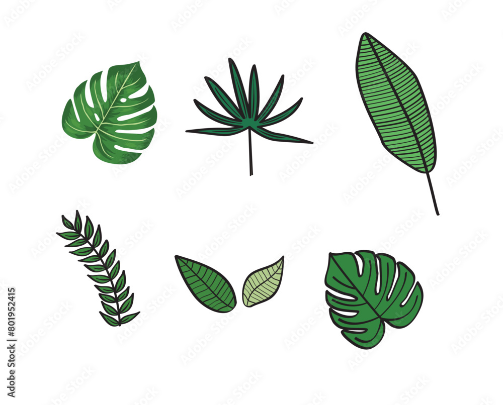 Green tropical leaves. Vector illustration