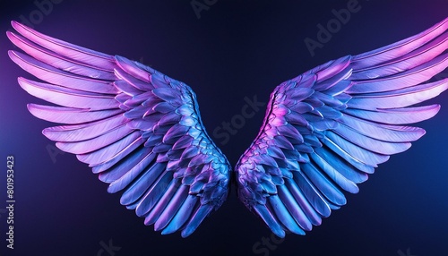 angel wings on black background, angel white wings isolated on background