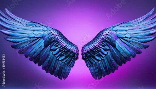 angel wings on black background, angel white wings isolated on background