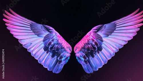 angel wings on black background, angel white wings isolated on background © FatimaBaloch