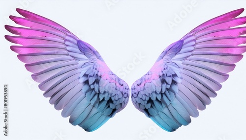 angel wings on black background, angel white wings isolated on background