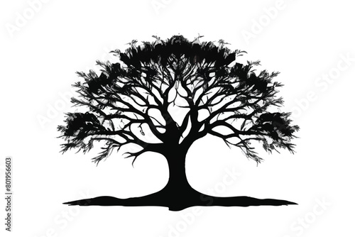 Tree silhouette isolated on white background. Black tree silhouette. Tree icon. 