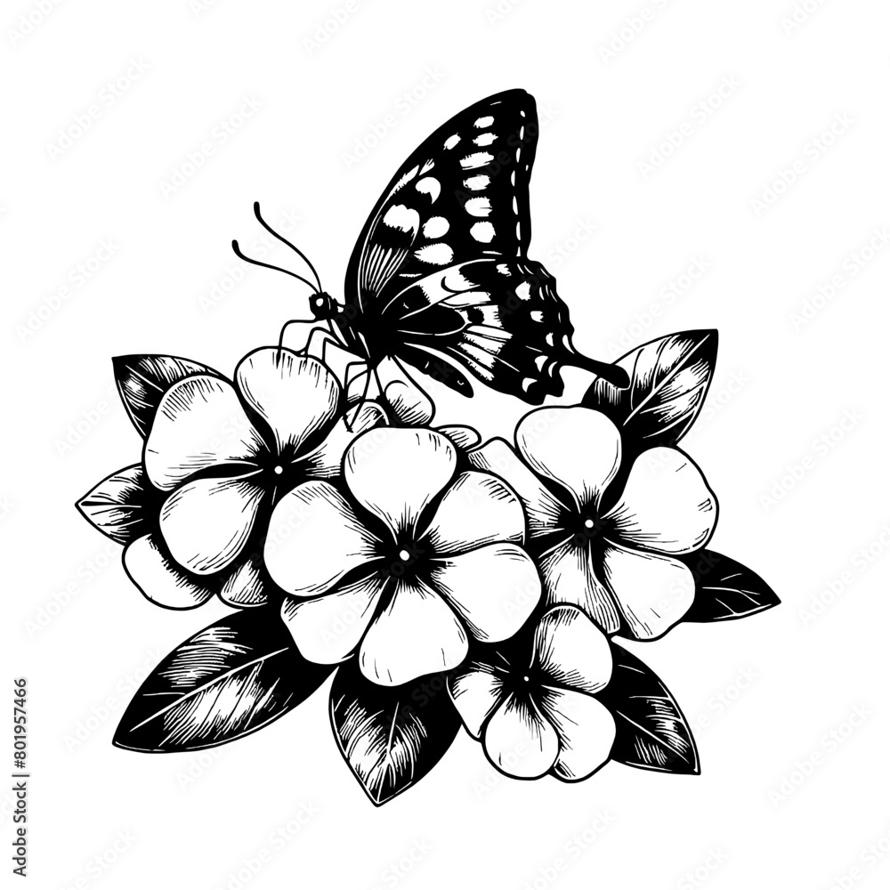 beautiful vinca flower and butterfly template logo design art