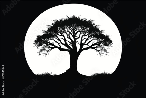 Tree silhouette isolated on white background. Black tree silhouette. Tree icon. 