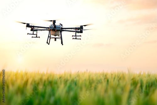 Agriculture drone flying over the field in sunset and spraying crops with chemicals.