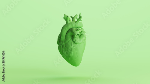 Heart anatomical green mint anatomy biology soft tones medical background sculpt 3d illustration render digital rendering