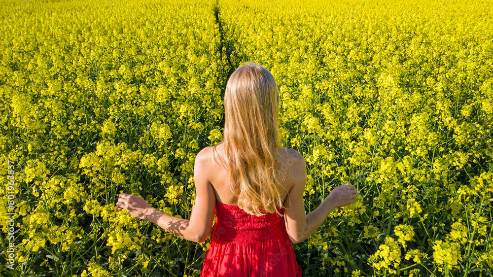 Fototapeta premium Caucasian woman in red dress in scenic yellow rapeseed field