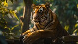A majestic tiger basking in the sunlight amidst lush greenery,4k wallpaper