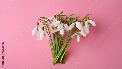 Dainty Blossoms: Snowdrops Arrangement on Pink Background