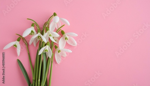 Serene Spring: Snowdrops Bouquet on Minimalist Pink