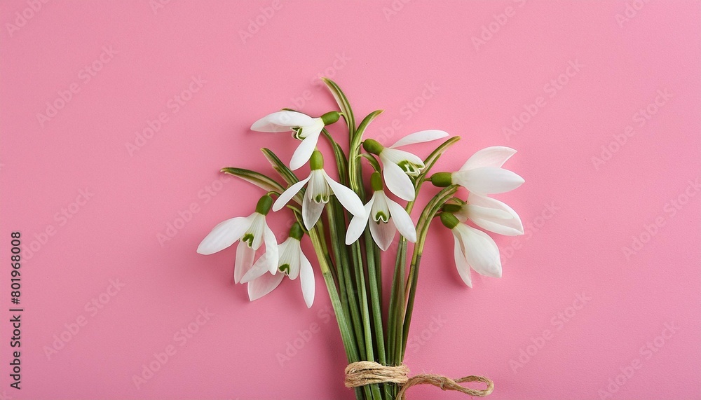 Fototapeta premium Simple Elegance: Snowdrops on Pink with Copy Space