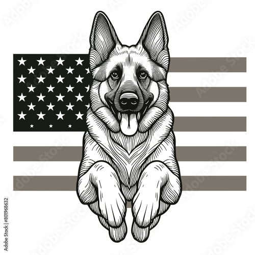 A detailed line drawing of a German Shepherd dog in front of an American flag, 4th july USA Independence Day, Celebrate Patriotic Holidays .