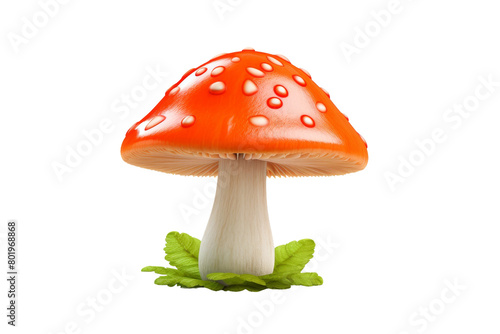 Ephemeral Elegance: A Mushrooms Microcosm. On a White or Clear Surface PNG Transparent Background.