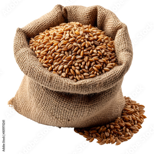 Wheat grains spilled out of a bag close-up view top. isolated on transparent background With clipping path. cut out. 3d render