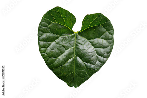 Leaf Heart-shaped On Transparent Background.