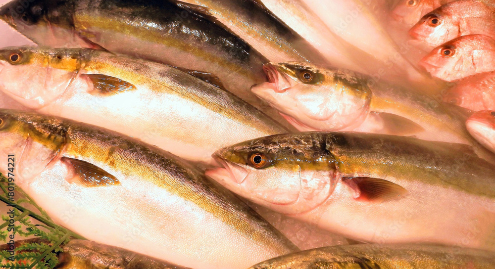 店頭に並べられた新鮮な魚、スーパーマーケットの魚売り場の魚 店頭に並べられた新鮮な魚、スーパーマーケットの魚売り場の魚
