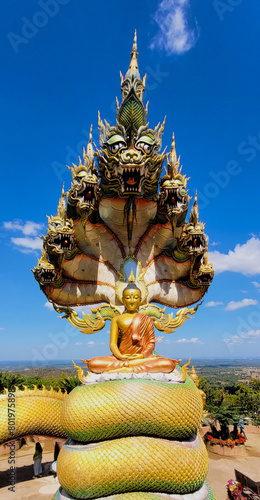 Naga protect buddha