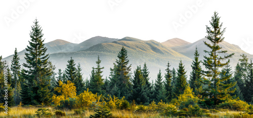 Panoramic view of meadow landscape with trees and hills  cut out - stock png.