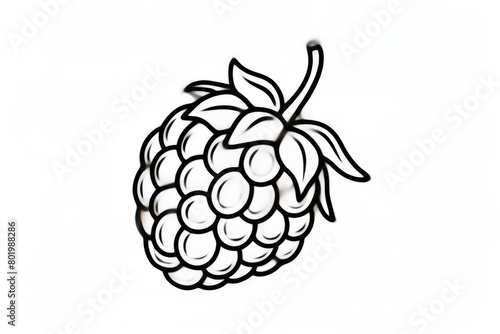 Simple black and white raspberry coloring page for children photo