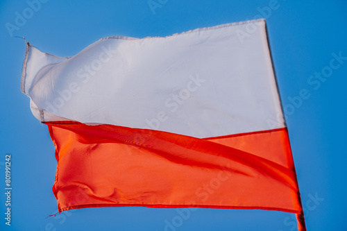 Polska Flaga powiewająca na wietrze