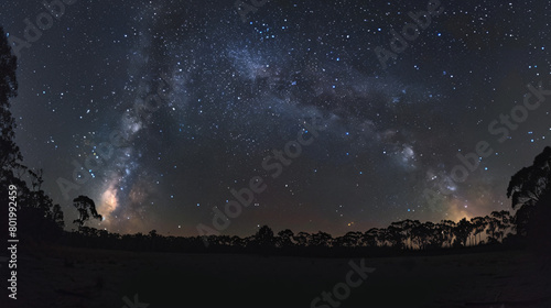 star filled night sky filled with milky way visible   seen from a clearing in a forest